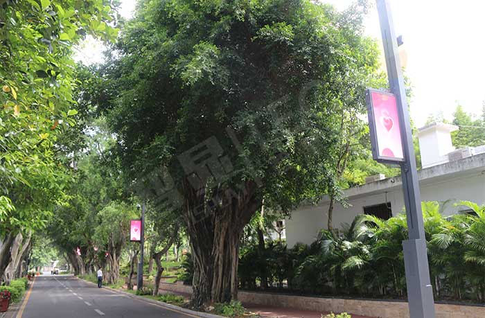 led燈桿屏|智慧燈桿屏|led廣告機|智慧路燈屏|戶外LED廣告機|燈桿屏|智慧燈桿|智慧路燈